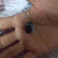 شجر عقیق