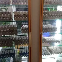 یخچال مغازه|فروشگاه و مغازه|شیروان (خراسان), |دیوار