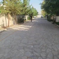 نیروی فضای سبز و خدماتی