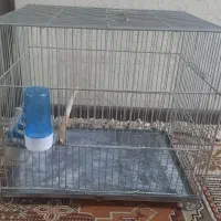 قفس نو