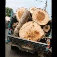 خرید چوب آلات باغی وکاتین صنوبر