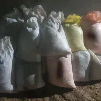 کود گوسفندی