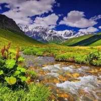 گروه طبیعت گردی