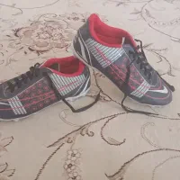 کفش چمن