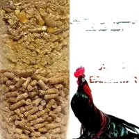 دان اقتصادی برای پرورش های خانگی