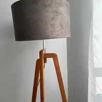 اباژور کنار سالنی