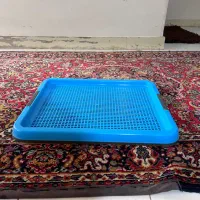 پد ، سبد ادرار سگ و گربه|لوازم جانبی حیوانات|شاهین‌شهر, مخابرات (شهید بهشتی)|دیوار