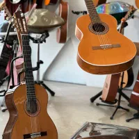 گیتار های دیاموند ،پارسی، یاماها|گیتار، بیس، امپلیفایر|دزفول, |دیوار