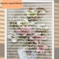 پرده زبرا و دو مکانیز