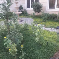 ۶۰متر۱خوابه فول امکانات مجتمع رویال رز