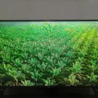 تلویزیون55اینچ ال‌جی