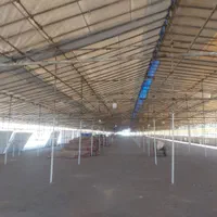 داربست فلزی رضوی|خدمات پیشه و مهارت|مشهد, شهید فرامرز عباسی|دیوار