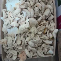 نان خشک تمیز