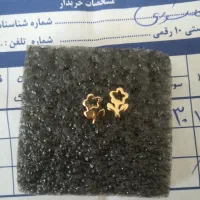 گوشواره طلا مینی