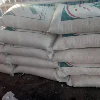 پر سیمرغ اصفهان