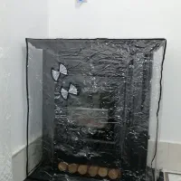 کاور با طلق ژلاتینی|سفره، حوله، دستمال آشپزخانه|خاش, |دیوار