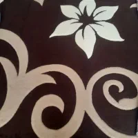 گلیم فرش ۶متری فانتزی درحدشسته شده