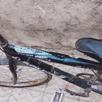 دوچرخه 24|دوچرخه، اسکیت، اسکوتر|نورآباد, |دیوار