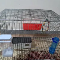 قفس|لوازم جانبی حیوانات|اراک, |دیوار