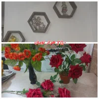 دکوری
