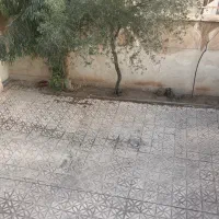 ویلایی-طبقه-همکف-180-متر-زیربنا-دربست