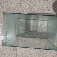 آکواریوم|ماهی|قوچان, |دیوار
