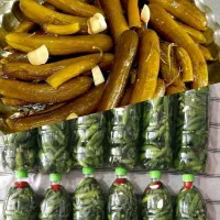 خیارشور خانگی|خوردنی و آشامیدنی|شیراز, بعثت|دیوار