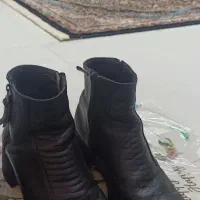 کیف وکفش های زنانه و بچگانه|کیف، کفش، کمربند|ری, دیلمان|دیوار