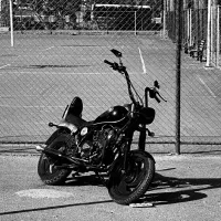 هارلی کلکسیونی|موتورسیکلت|بیرجند, |دیوار