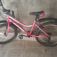 دوچرخه 24 صورتی