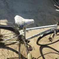 دو عدد دوچرخه ی خارجی|دوچرخه، اسکیت، اسکوتر|برازجان, |دیوار