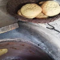 تافتون هیزمی|خوردنی و آشامیدنی|تربتحیدریه, چهارراه خواف|دیوار