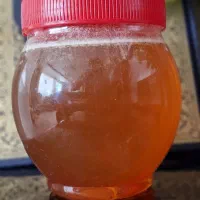 عسل کاملا طبیعی و ارگانیک کوردستان