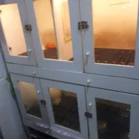 باکس مخصوص سگ وگربه