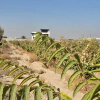 باغ و باغچه زمین.سند اب و برق اباد۲۵۰ متر|فروش خانه و ویلا|شهریار, شهرک وائین|دیوار