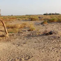 زمین کشاورزی|اجارهٔ دفتر صنعتی، کشاورزی، تجاری|بزمان, |دیوار