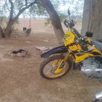 تریل بهپر 250