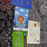 تعدادی کارت بانکی و یک عدد گواهینامه پیداشده|اشیا|یزد, |دیوار