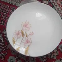 دو دست ظرف ارکوپال ۲۶ پارچه|ظروف سرو و پذیرایی|بابکان, |دیوار