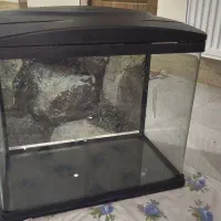 آکواریوم ماهیران با تجهیزات کامل آماده راه‌اندازی