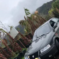 سمند lx