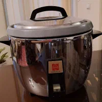 پلوپز برقی ناسیونال، اصل ژاپن