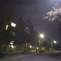 همخونه نیازمندم