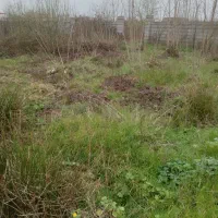 فروش زمین مسکونی قلی پور خیابان کوی حسینی|فروش زمین و ملک کلنگی|رشت, کوی حسینی|دیوار
