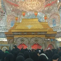 کربلا مناسبت ولادت حضرت علی(ع)|تور و چارتر|شیراز, کوشک میدان|دیوار