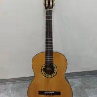 گیتار بست فان