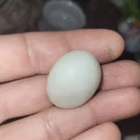 سنگ اوپال|کلکسیون اشیاء عتیقه|اسفراین, |دیوار