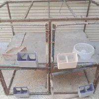 قفس برنده جفتگاه