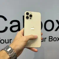 ایفون۱۲ پرومگس