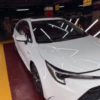 لوین هیبربد 1800